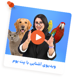 تیم پت بوم