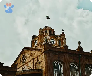 تبریز