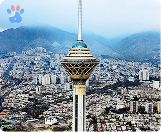 تهران